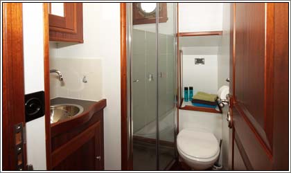 Aaltje Engelina Badkamer met douche, wc en wasgelegenheid