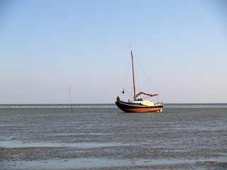 Dolle Dries  droog gevallen